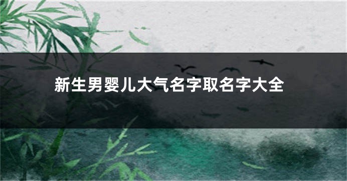 新生男婴儿大气名字取名字大全