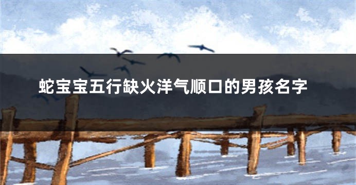 蛇宝宝五行缺火洋气顺口的男孩名字
