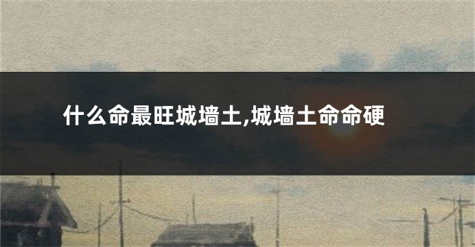 什么命最旺城墙土,城墙土命命硬