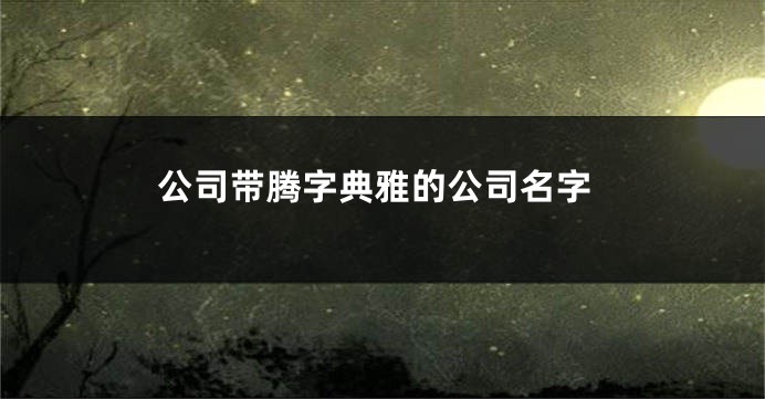 公司带腾字典雅的公司名字