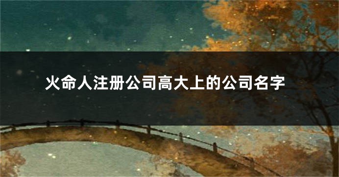 火命人注册公司高大上的公司名字