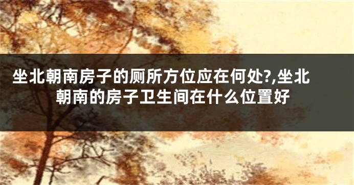 坐北朝南房子的厕所方位应在何处?,坐北朝南的房子卫生间在什么位置好