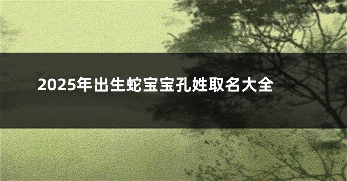 2025年出生蛇宝宝孔姓取名大全