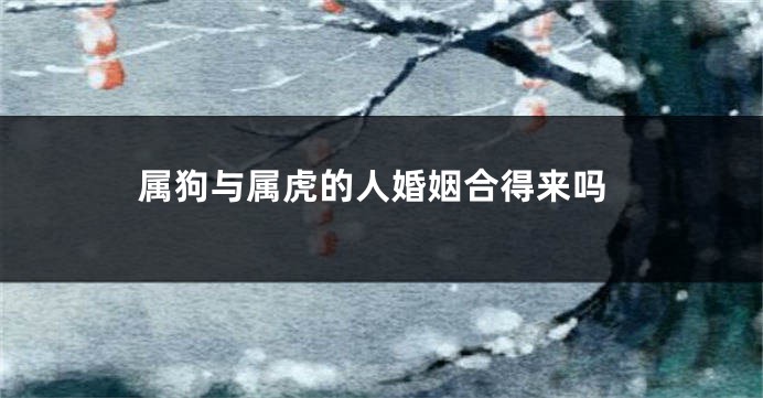 属狗与属虎的人婚姻合得来吗