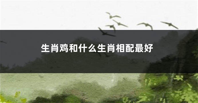 生肖鸡和什么生肖相配最好