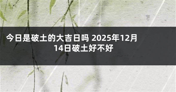 今日是破土的大吉日吗 2025年12月14日破土好不好
