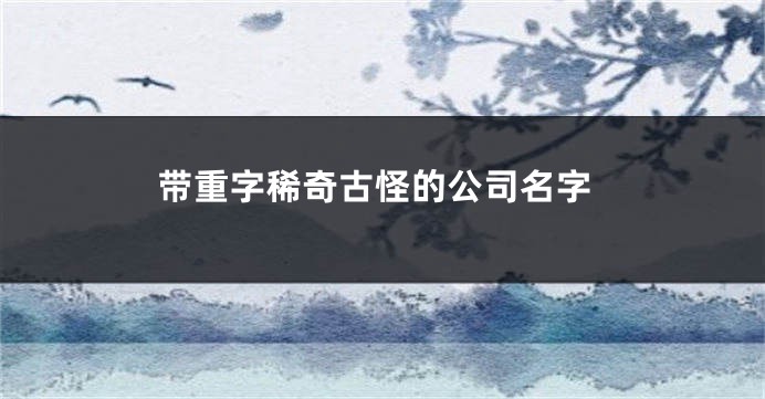 带重字稀奇古怪的公司名字
