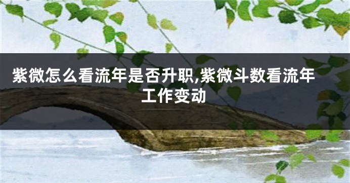 紫微怎么看流年是否升职,紫微斗数看流年工作变动