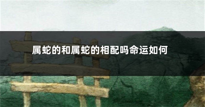 属蛇的和属蛇的相配吗命运如何