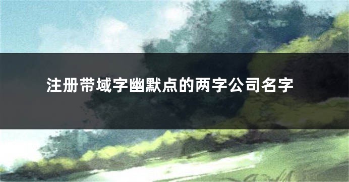 注册带域字幽默点的两字公司名字