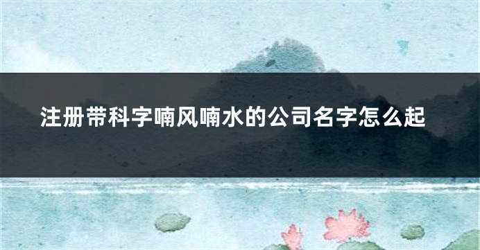 注册带科字喃风喃水的公司名字怎么起