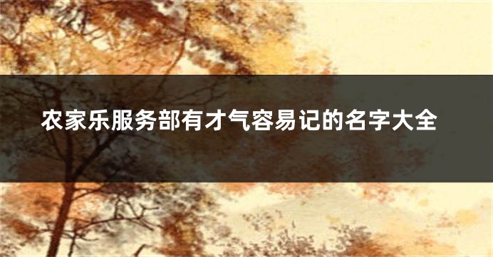 农家乐服务部有才气容易记的名字大全