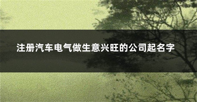注册汽车电气做生意兴旺的公司起名字