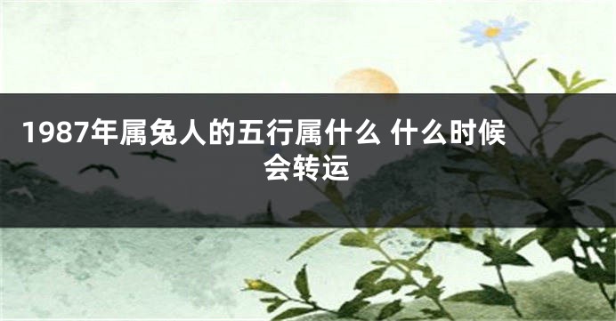 1987年属兔人的五行属什么 什么时候会转运
