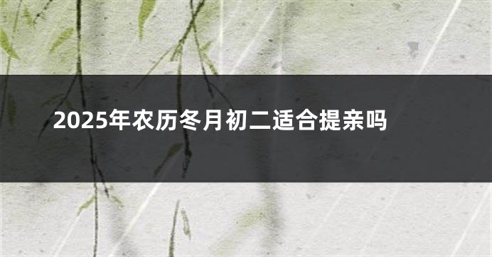 2025年农历冬月初二适合提亲吗