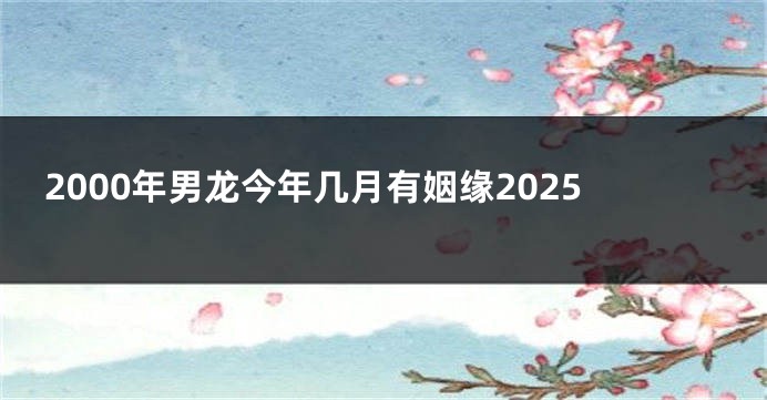 2000年男龙今年几月有姻缘2025