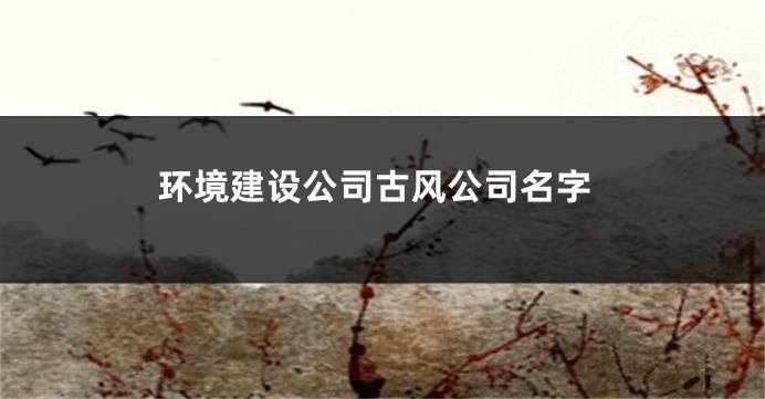 环境建设公司古风公司名字