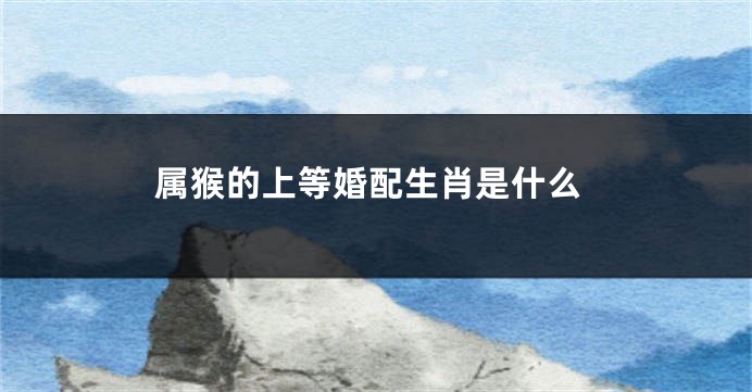 属猴的上等婚配生肖是什么