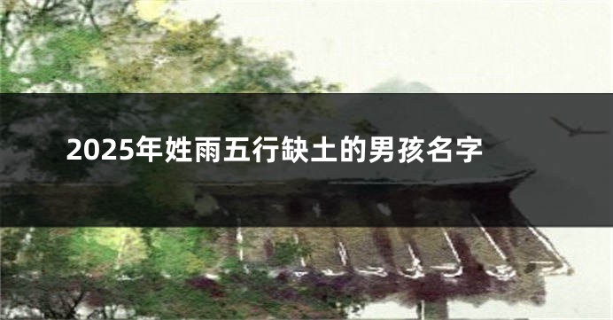 2025年姓雨五行缺土的男孩名字