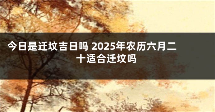 今日是迁坟吉日吗 2025年农历六月二十适合迁坟吗