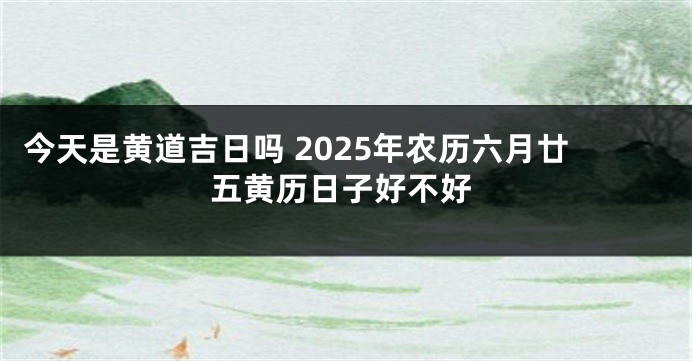今天是黄道吉日吗 2025年农历六月廿五黄历日子好不好