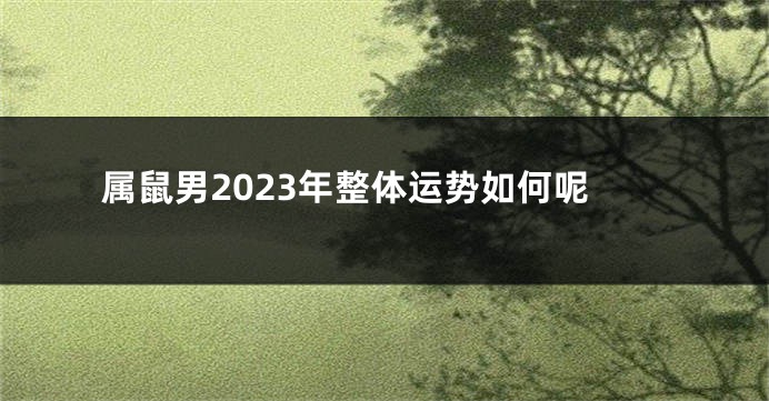 属鼠男2023年整体运势如何呢