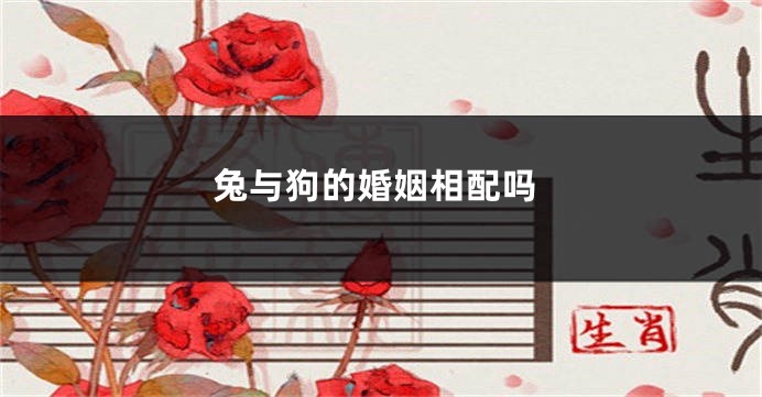 兔与狗的婚姻相配吗