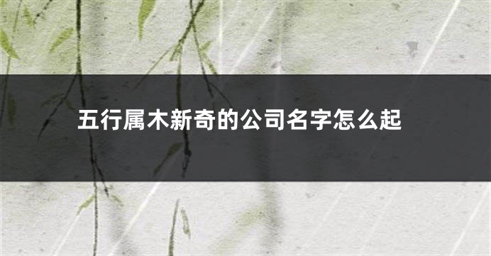 五行属木新奇的公司名字怎么起