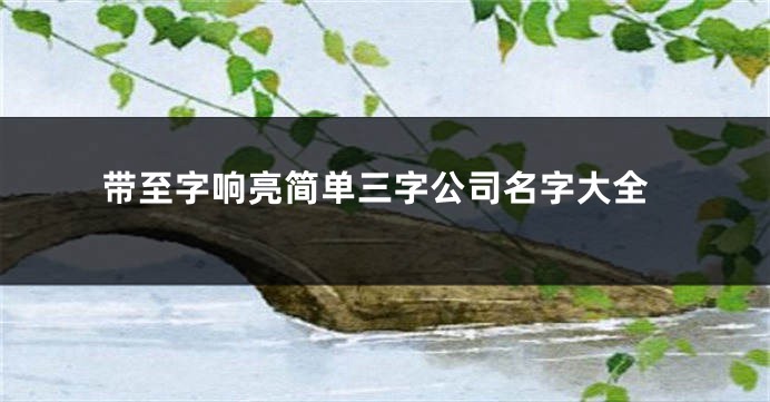 带至字响亮简单三字公司名字大全