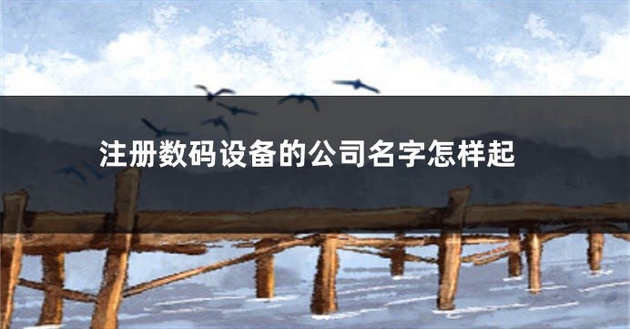 注册数码设备的公司名字怎样起