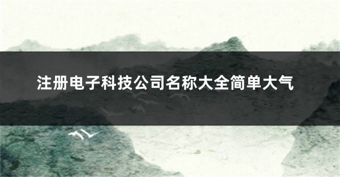 注册电子科技公司名称大全简单大气