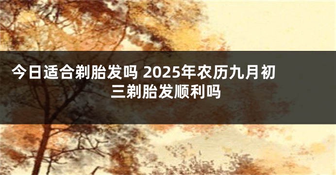 今日适合剃胎发吗 2025年农历九月初三剃胎发顺利吗