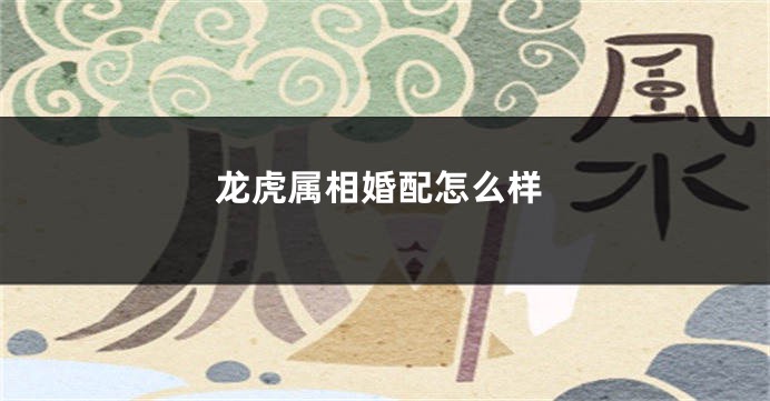 龙虎属相婚配怎么样