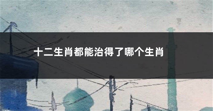 十二生肖都能治得了哪个生肖 