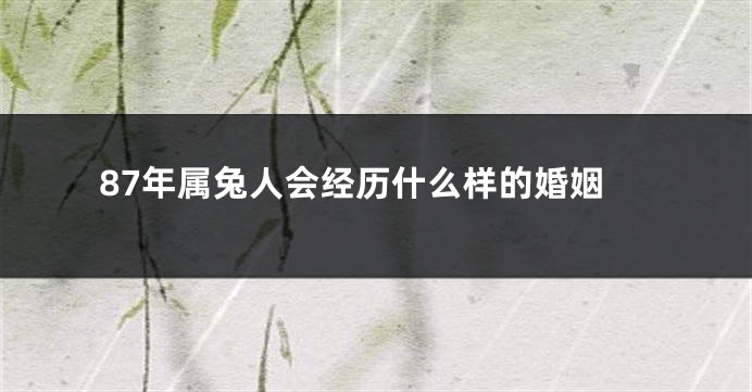 87年属兔人会经历什么样的婚姻