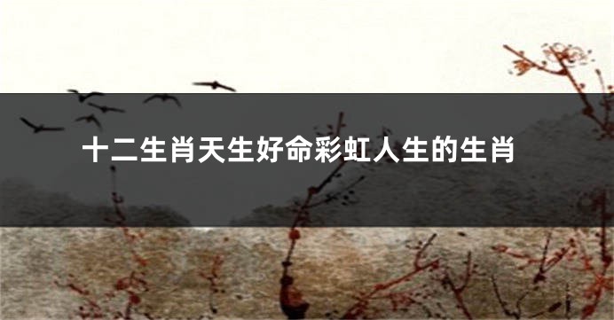 十二生肖天生好命彩虹人生的生肖