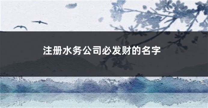 注册水务公司必发财的名字