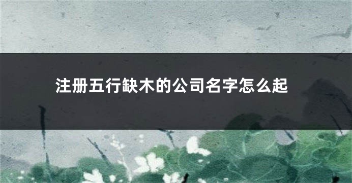 注册五行缺木的公司名字怎么起