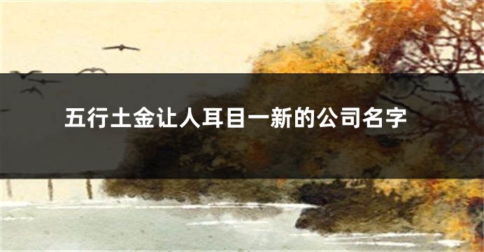 五行土金让人耳目一新的公司名字