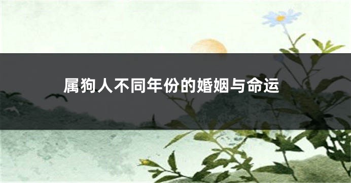 属狗人不同年份的婚姻与命运