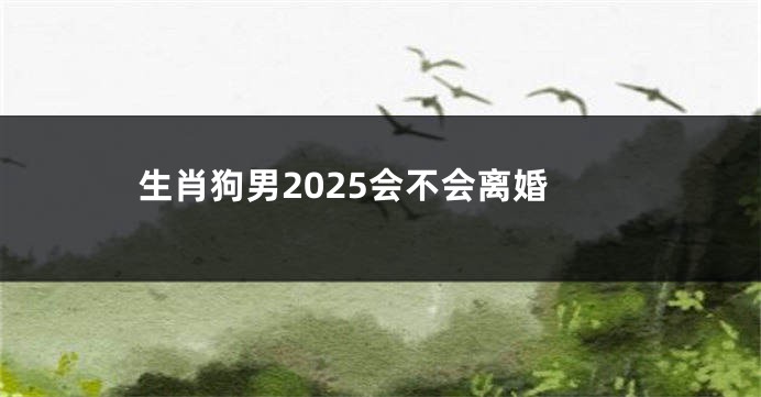 生肖狗男2025会不会离婚
