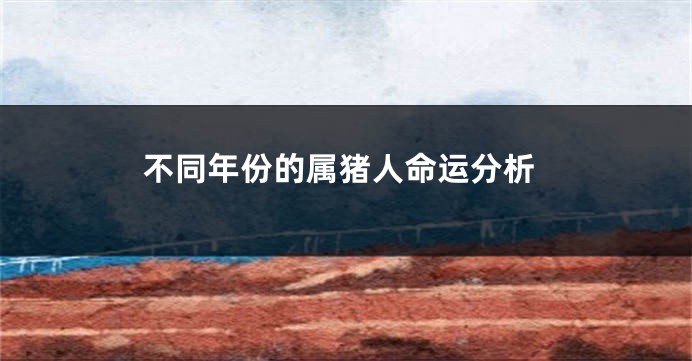 不同年份的属猪人命运分析