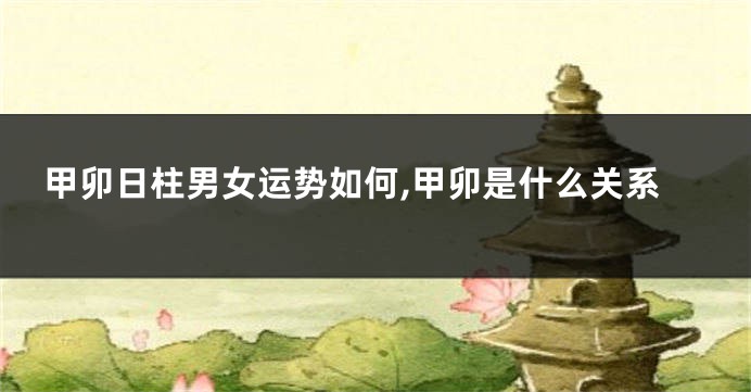 甲卯日柱男女运势如何,甲卯是什么关系
