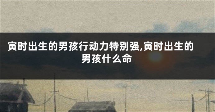 寅时出生的男孩行动力特别强,寅时出生的男孩什么命