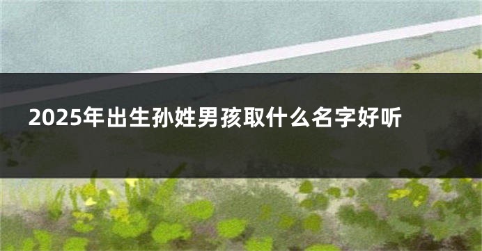 2025年出生孙姓男孩取什么名字好听