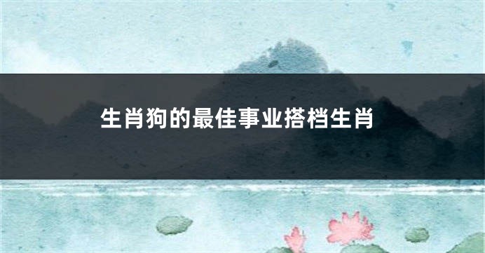 生肖狗的最佳事业搭档生肖
