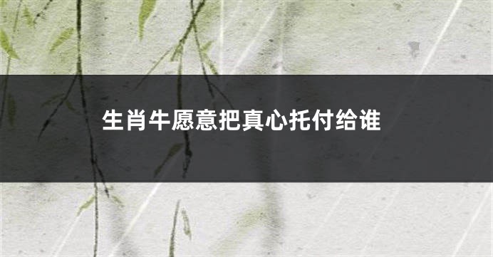 生肖牛愿意把真心托付给谁