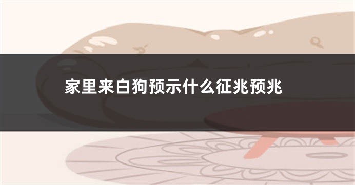 家里来白狗预示什么征兆预兆