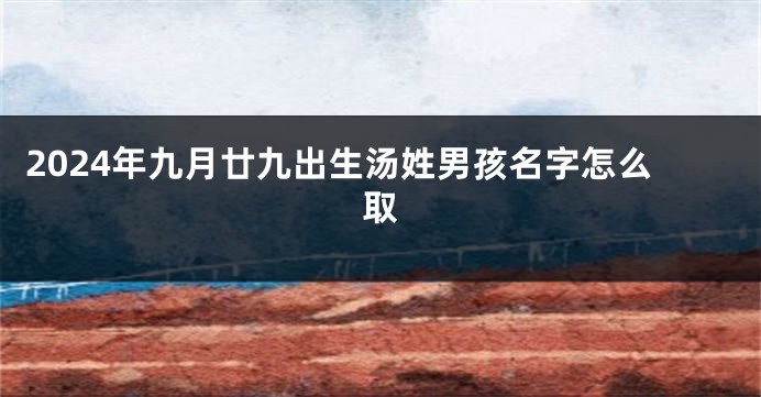 2024年九月廿九出生汤姓男孩名字怎么取