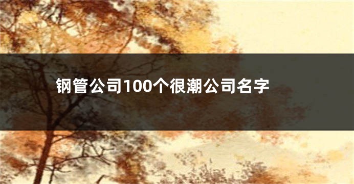 钢管公司100个很潮公司名字